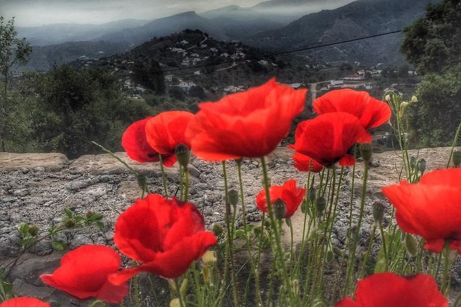 Gourmet Cooking Class & Culture in the rural Montes de Malaga. - The Hosts: Lynsey and Alan’s Warm Hospitality