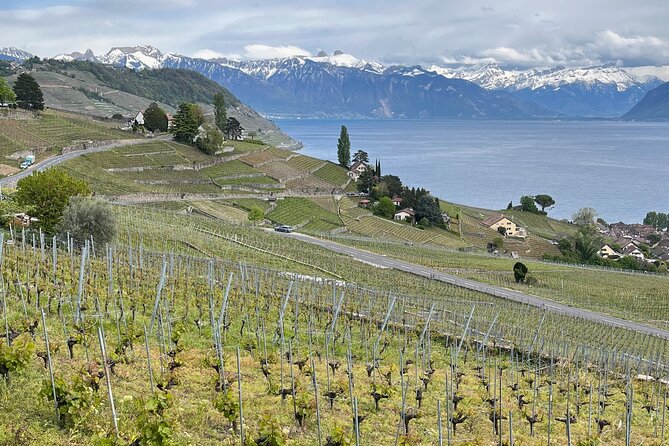 Gourmet Food and Wine Tasting Walk in Lavaux - Indulging in a Two-Course Vineyard Lunch