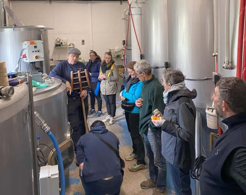 gourmet getaway - Exploring Jongieux Vineyards and Local Wines