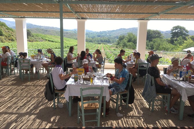 Gourmet Journey: 12-Course Lunch, Wine Tasting & Culinary Session - Scenic Tour of the Rhodes Vineyards & Small Family Winery