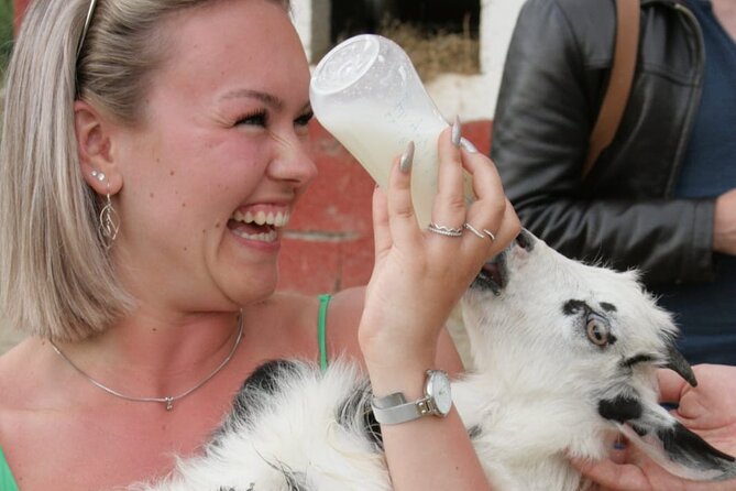 Gourmet Lunch Farm Tour with Cooking Class - Alcoholic Beverages and Refreshments