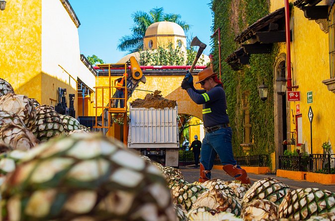 Gourmet tequilero - Who Should Consider This Tour?