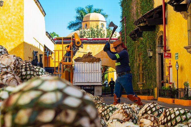 Gourmet tequilero - A Closer Look at Fabrica La Rojenas Role in Tequila Crafting