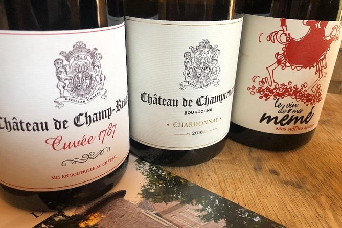 Gourmet walk in the gardens of Château Champ-Renard - Key Points