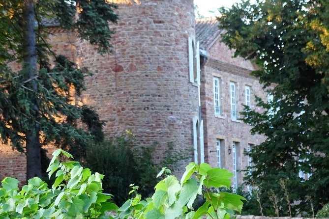 Gourmet walk in the gardens of Château Champ-Renard - The Picnic in the Château Gardens