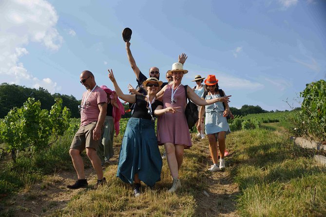 Gourmet walk in the heart of the vineyards with Champagne tasting near Epernay - Explore the Heart of Champagne with a Guided Vineyard Walk and Tasting Near Épernay