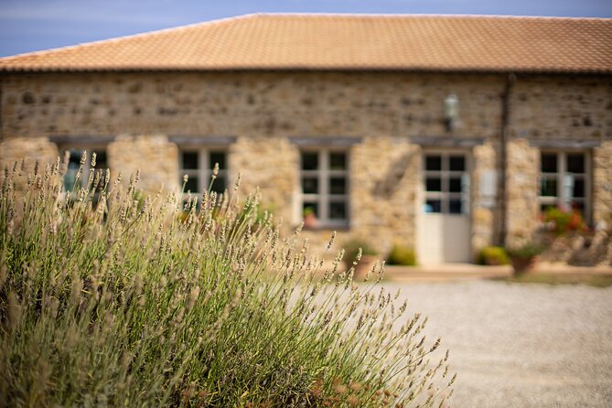 Gourmet Wine & Food Tasting - What Makes the Corte Pavone Gourmet Experience Unique