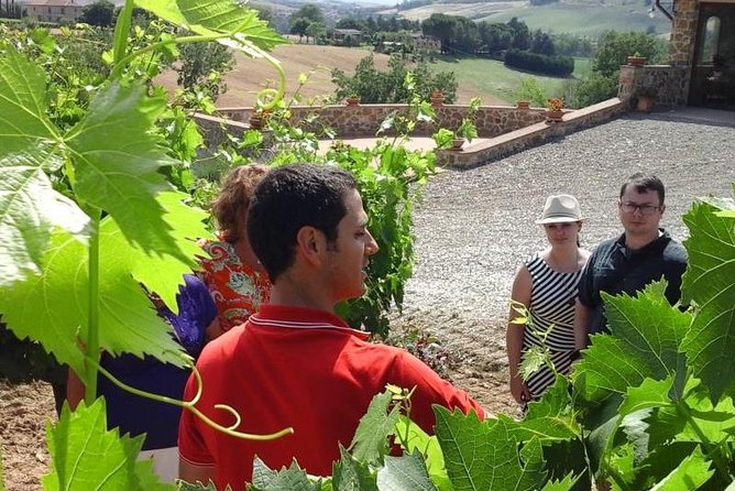 Gourmet Wine Tour - Starting Point in Montalcino and Meeting Details