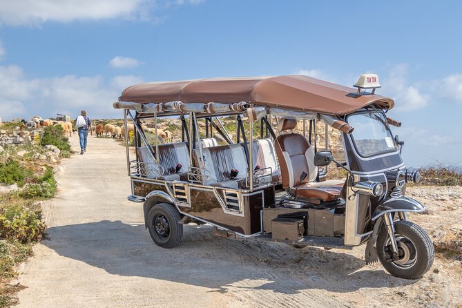 Gozo All Inclusive Chauffeured Tuk Tuk Day Tour - Blue Lagoon - Sanap Cliffs and Xlendi Bay: Natural Highlights