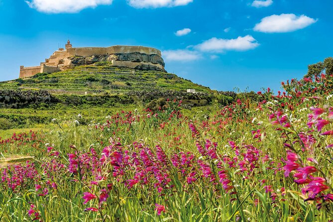 Gozo Full-Day Group Coach Tour including Lunch and Transfers - Key Points