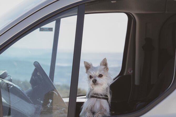 Gozo Highlights Tour in a comfortable private vehicle - Authentic Village Walks in Gharb and the Salt Pans
