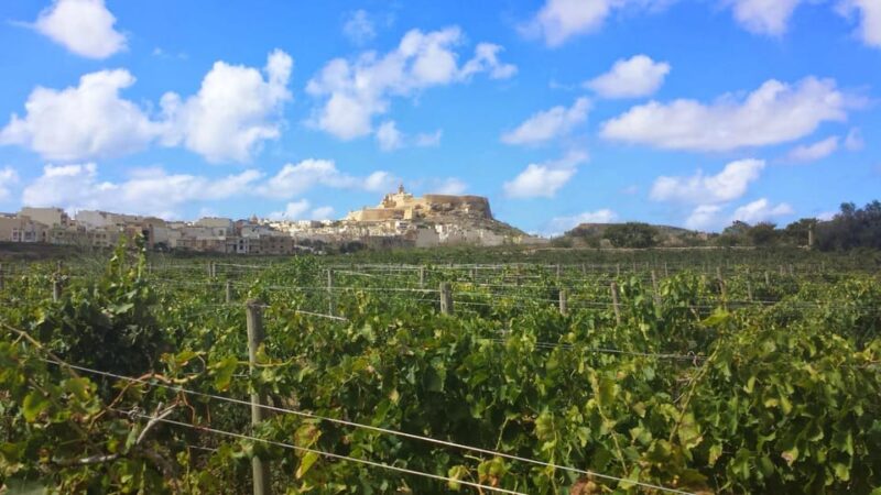 Gozo Victoria Walking Tour - Key Points