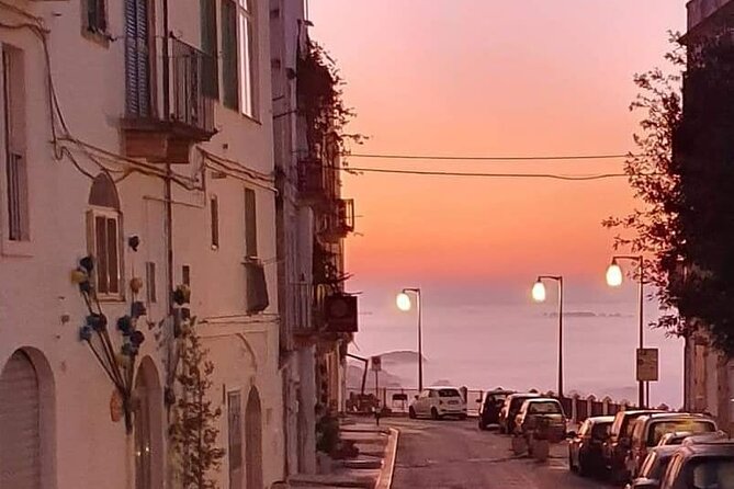 GPS Self guide Locorotondo+Alberobello + tasting in the vineyard - Key Points