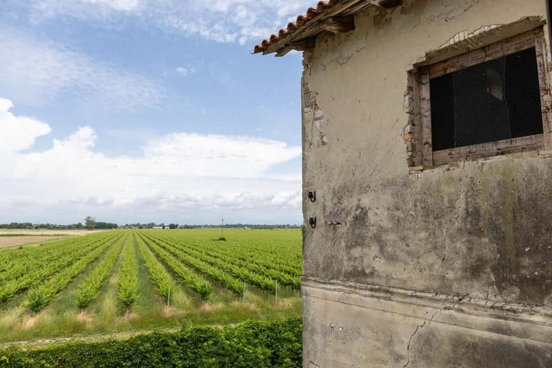 Grado: Journey into Ceramics with Tour & Wine Tasting - The Workshop: An Intimate Look at Handmade Ceramics