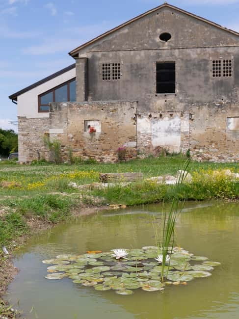 Grado: Journey into Ceramics with Tour & Wine Tasting - Booking and Flexibility