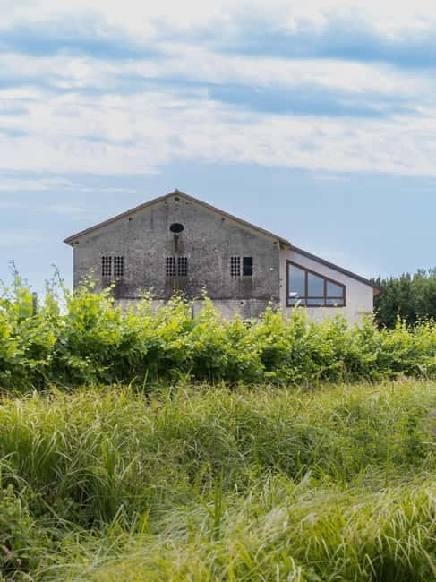 Grado: Journey into Ceramics with Tour & Wine Tasting - Final Thoughts on the Ceramics & Wine Experience in Grado