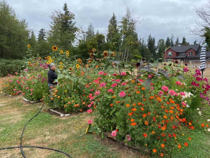 Graham: Faithful Hands' Farm Tour - Key Points