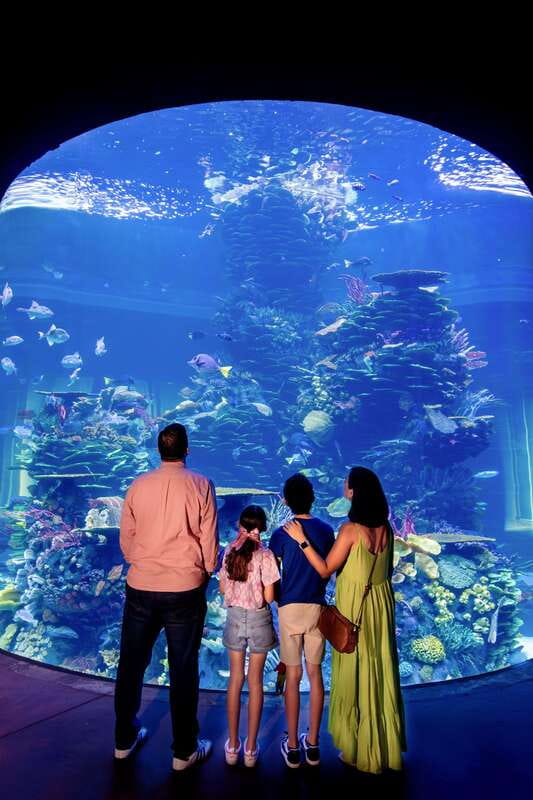 Gran Acuario Mazatlan - Discover the Largest Aquarium in Latin America in Mazatlan