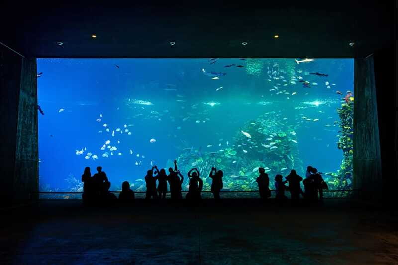 Gran Acuario Mazatlan - Practical Information: Accessibility and Planning Your Visit
