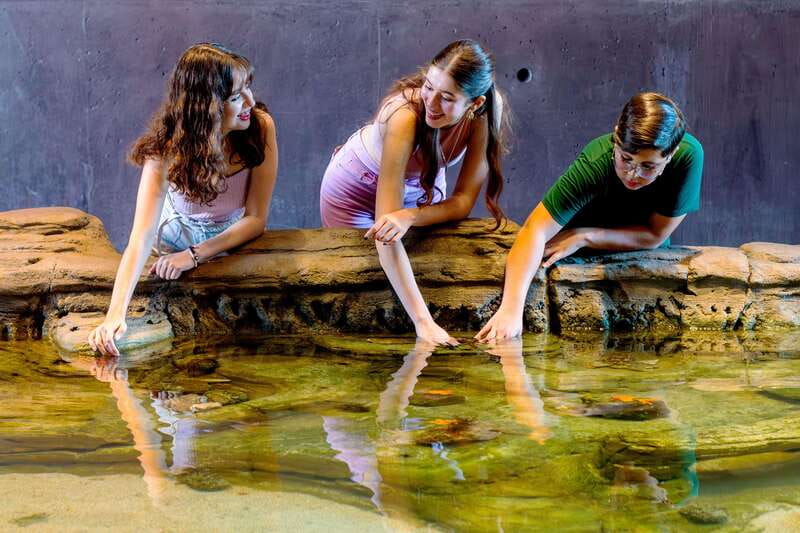 Gran Acuario Mazatlan - What Sets Gran Acuario Mazatlan Apart from Similar Tours