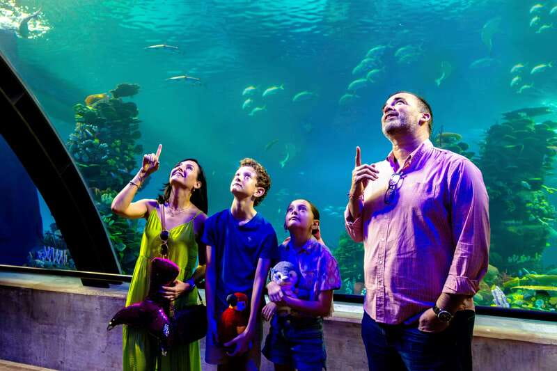 Gran Acuario Mazatlan - Final Thoughts on Visiting Gran Acuario Mazatlan