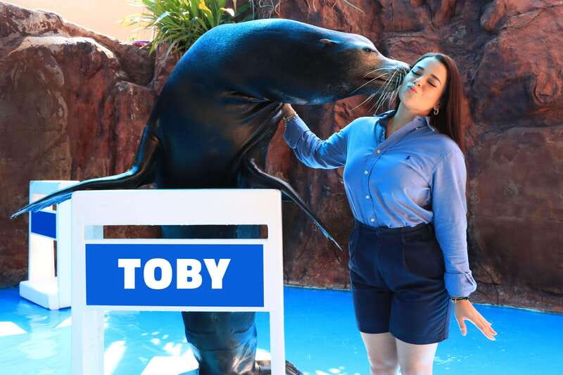 Gran Acuario Mazatlan - Frequently Asked Questions