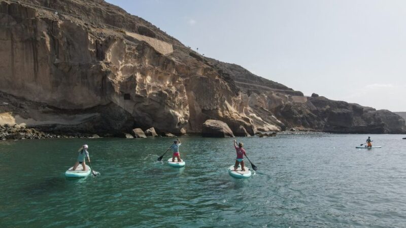 Gran Canaria : 2h Stand Up Paddle board lessons - Practical Equipment and Safety Measures
