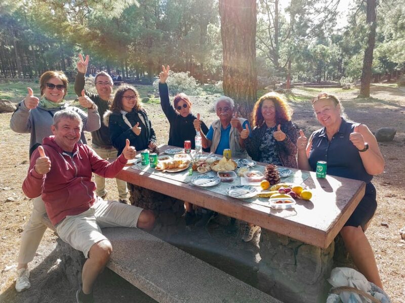Gran Canaria 7 Highlights Small Group Tour with Tapas Picnic - Practical Details: Logistics, Guides, and Value