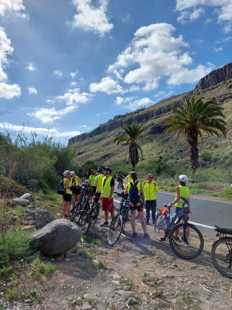 Gran Canaria: 8 Hour - 7 Day E-Bike Rental 80km battery life - Family-Friendly Features and Restrictions