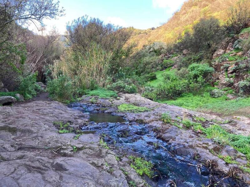 Gran Canaria: a trip to the Barranco de los Cernícalos - Exploring Gran Canaria’s Waterfalls and Hidden Trails
