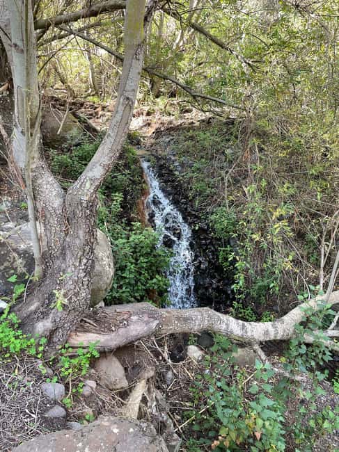 Gran Canaria: a trip to the Barranco de los Cernícalos - Logistics and Group Experience