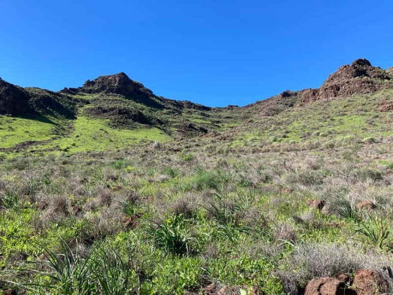 Gran Canaria: a trip to the Veneguera Valley - Continuing to the Other Side of the Valley for Flowers and Ocean Views