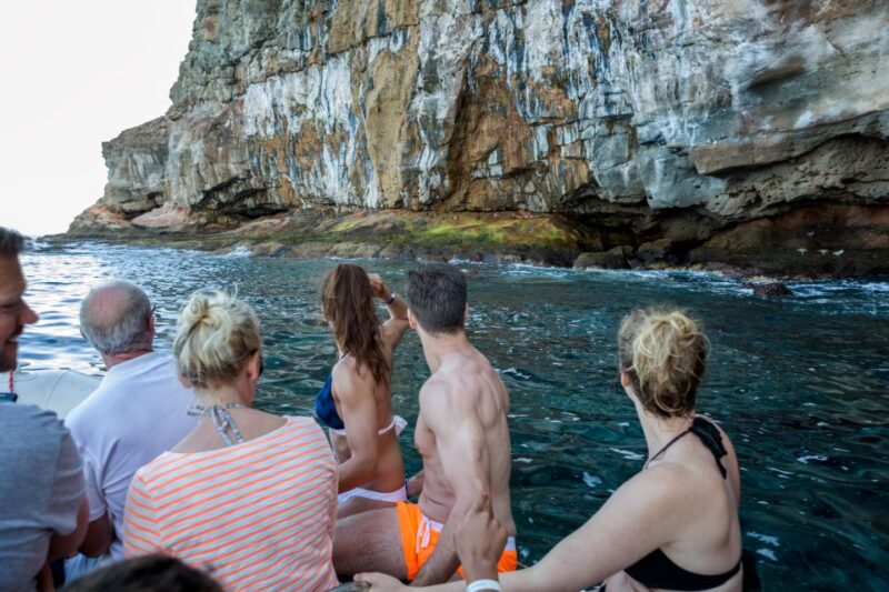 Gran Canaria: Afternoon Catamaran Cruise with Food & Drink - Customer Feedback Highlights