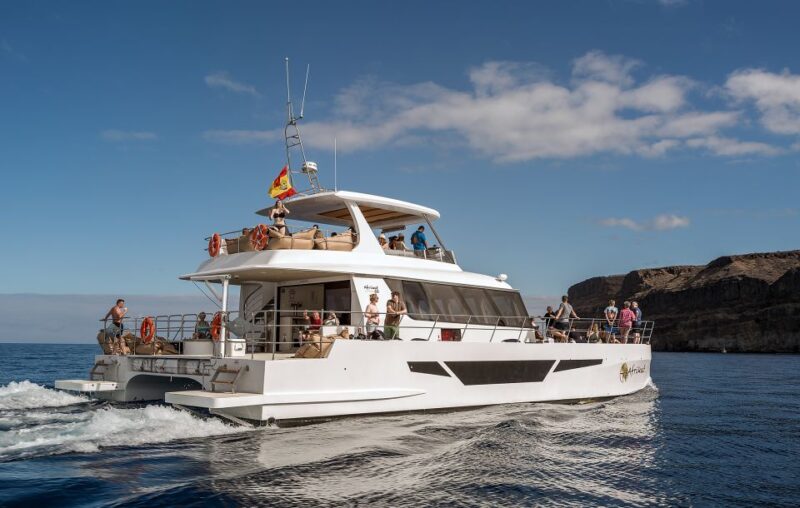 Gran Canaria: Afternoon Catamaran Cruise with Food & Drink - Final Thoughts on the Gran Canaria Catamaran Experience
