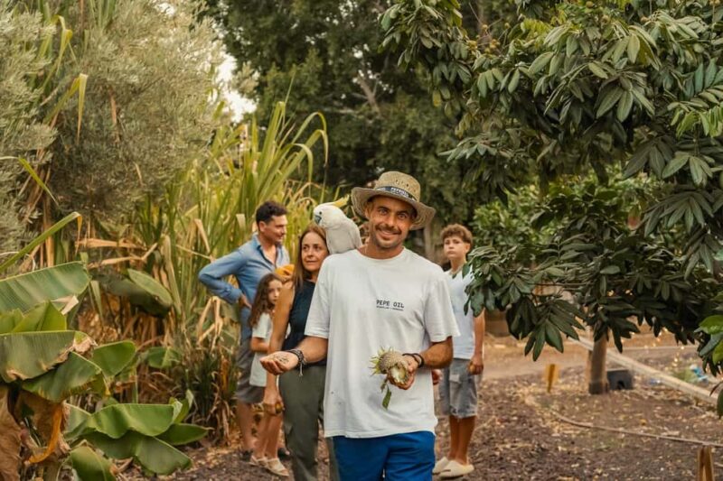 Gran Canaria: Agüimes, Gofio Mill & Eco Farm Food Tasting - Key Points