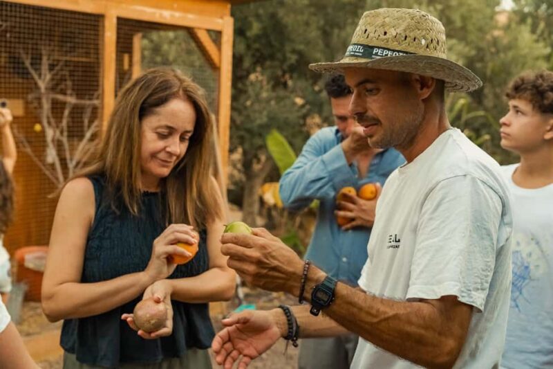 Gran Canaria: Agüimes, Gofio Mill & Eco Farm Food Tasting - Experience Providers and Additional Options
