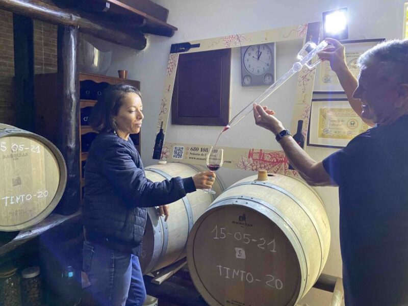 Gran Canaria: Best Wineries and Views Tour - What Makes This Tour Different from Others