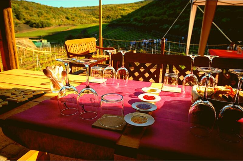 Gran Canaria: Best Wineries and Views Tour - Who Will Appreciate This Tour Most