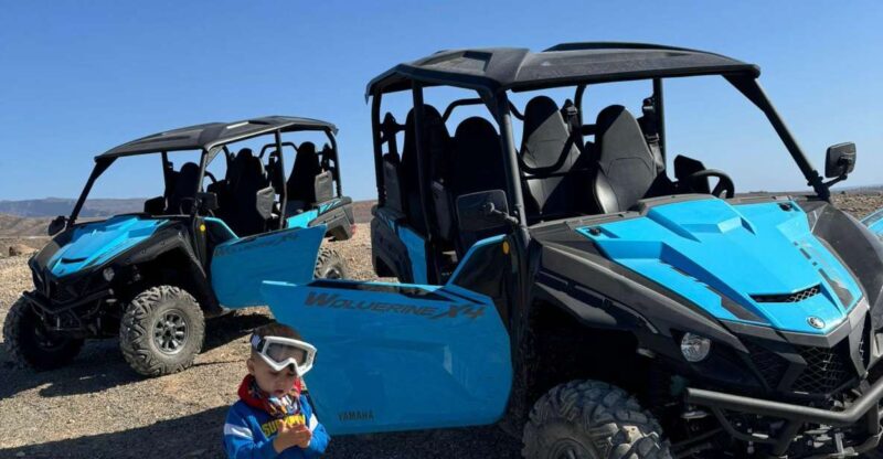 Gran Canaria Buggy tour - Value and What Makes This Tour Stand Out