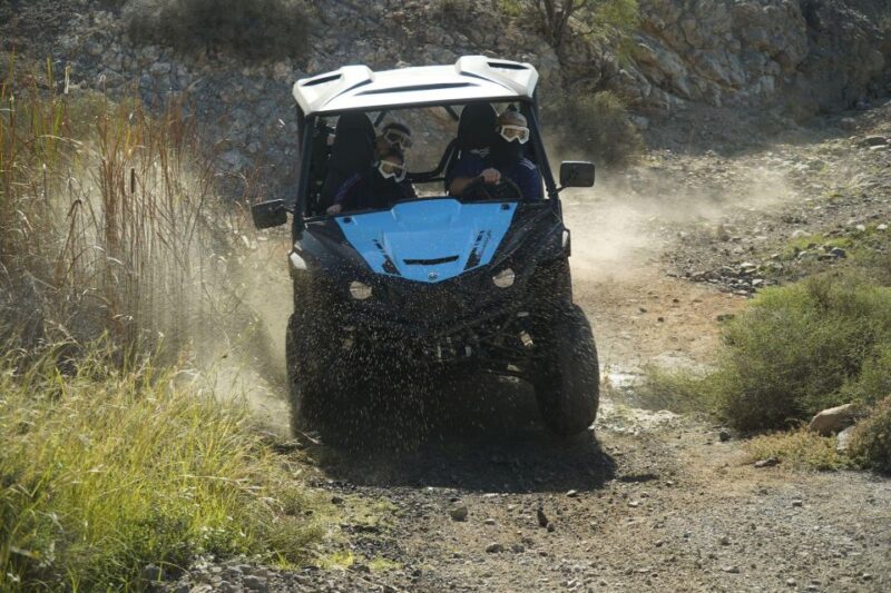 Gran Canaria Buggy tour - Who Should Consider This Tour?