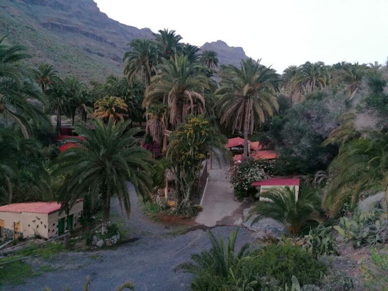 Gran Canaria: Camel Ride at Camel Safari Park - The 30-Minute Camel Ride Through the Oasis