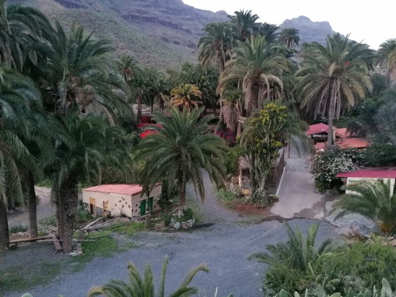 Gran Canaria: Camel Ride at Camel Safari Park - Visitor Feedback and Notable Highlights