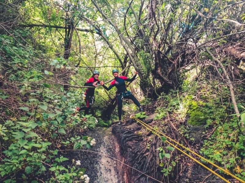Gran Canaria: Canyoning in the Rainforest - The Unique Setting of Gran Canarias Rainforest Canyons