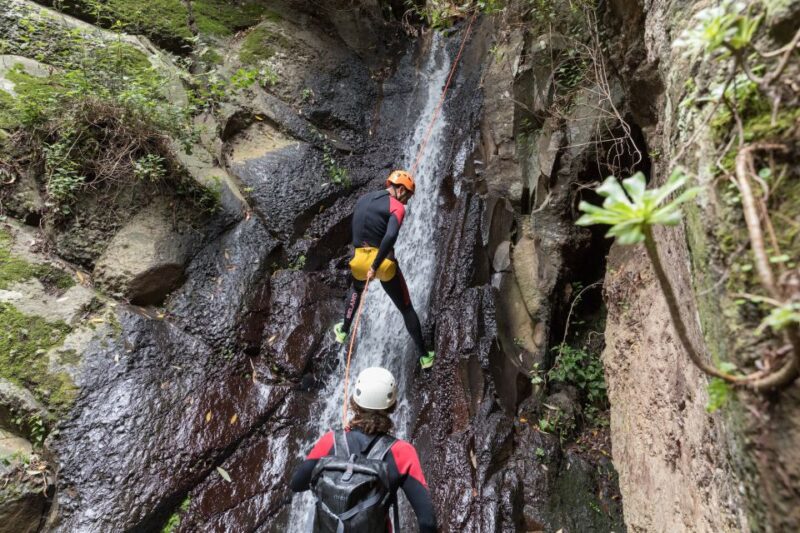 Gran Canaria: Canyoning in the Rainforest - Physical Demands and Age Restrictions