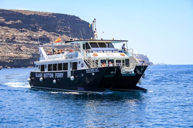 Gran Canaria: Catamaran Dolphin Watch Cruise with Snorkeling - Gran Canaria: Catamaran Dolphin Watch Cruise with Snorkeling – A Water Adventure in Spain