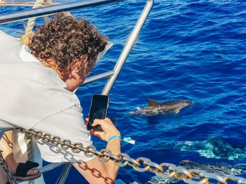 Gran Canaria: Catamaran Dolphin Watch Cruise with Snorkeling - The Experience of Dolphin and Whale Watching in Gran Canaria