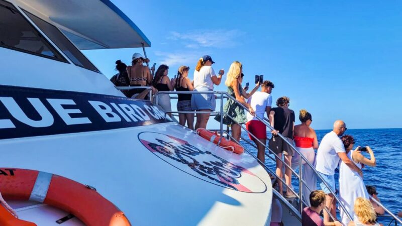 Gran Canaria: Catamaran Dolphin Watch Cruise with Snorkeling - The Value and Overall Impression of This Cruise