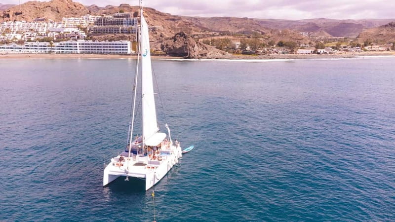 Gran Canaria: Catamaran Tour with Lunch on Pristine Beaches - Highlights of the Cruise: Wild Coast, Caves, and Crystal Waters