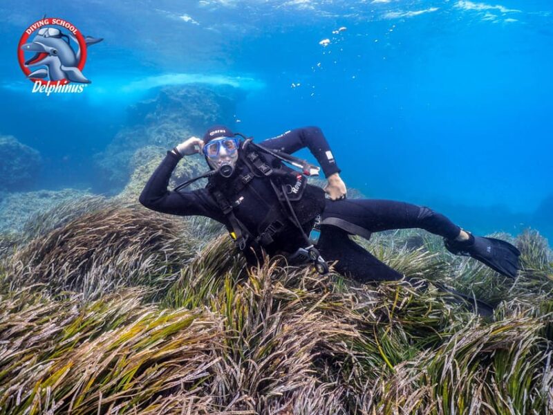 Gran Canaria: Discover Scuba Diving Beginner Program - Explore the Calm Waters of Mogan with a Beginner Scuba Program in Gran Canaria