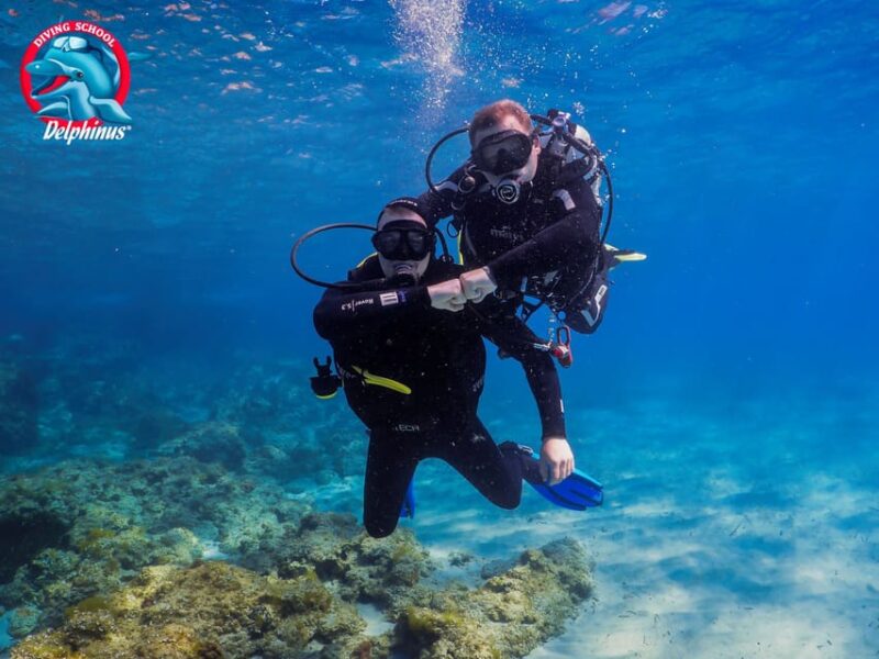 Gran Canaria: Discover Scuba Diving Beginner Program - Who Should Consider This Tour?